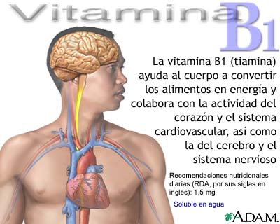 Beneficios de la vitamina B1