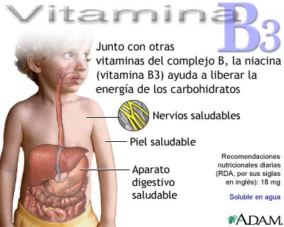 Beneficios de la vitamina B3