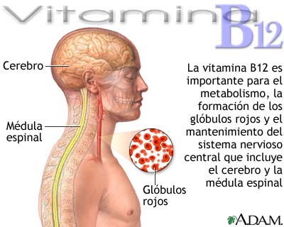 Beneficios de la vitamina B12