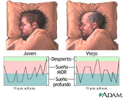 Patrones de sueño en el joven y en el viejo