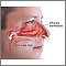Goteo y congestión nasal