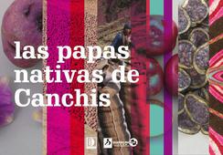 Las papas nativas de Canchis: Un catálogo de biodiversidad