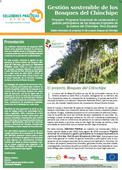 Gestión sostenible de los Bosques del Chinchipe (Boletín Informativo de proyecto Bosques del Chinchipe N 3)