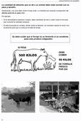 Manual práctico de ganadería